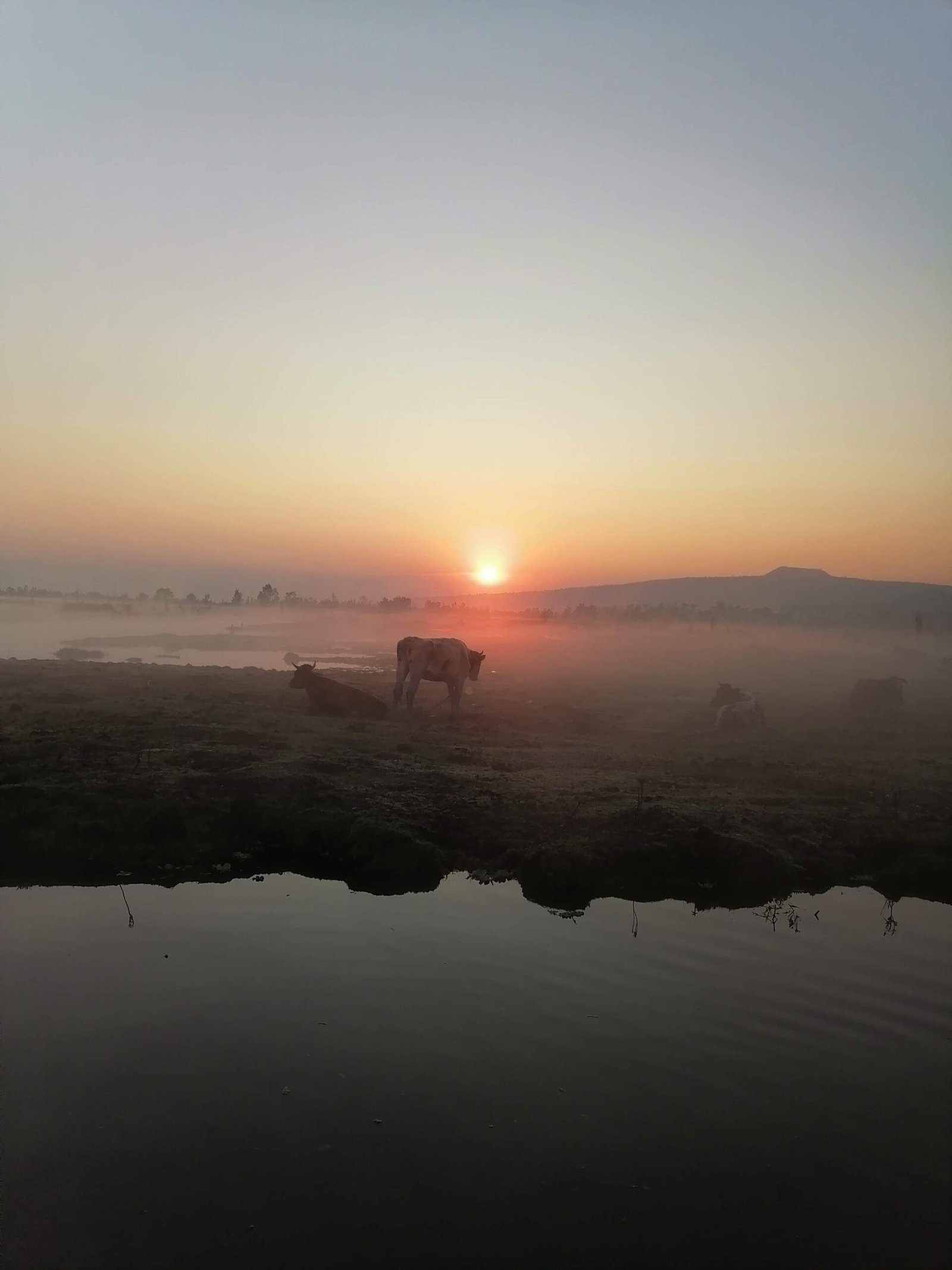 Atardecer Xochimilco