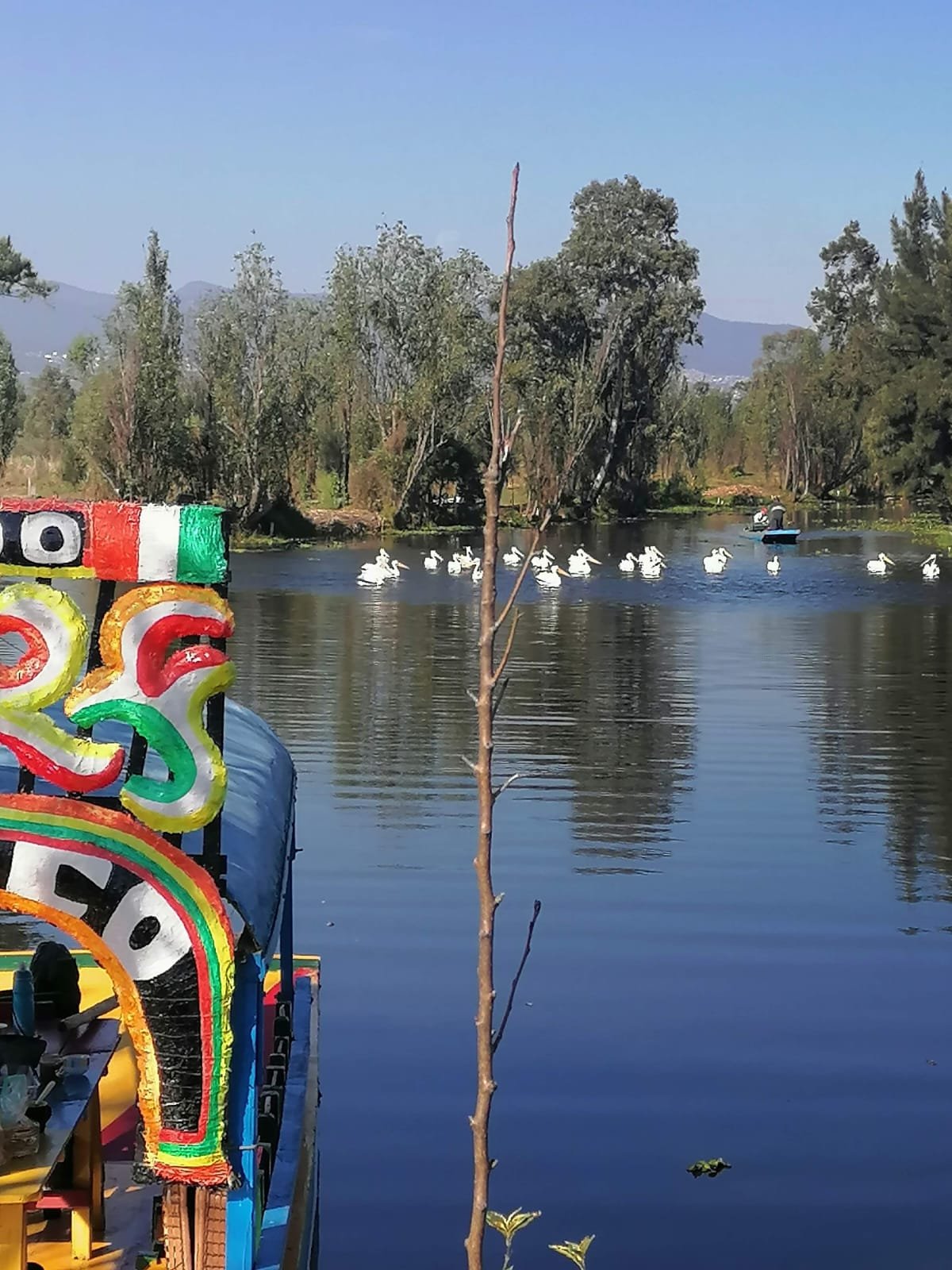 Aves Xochimilco