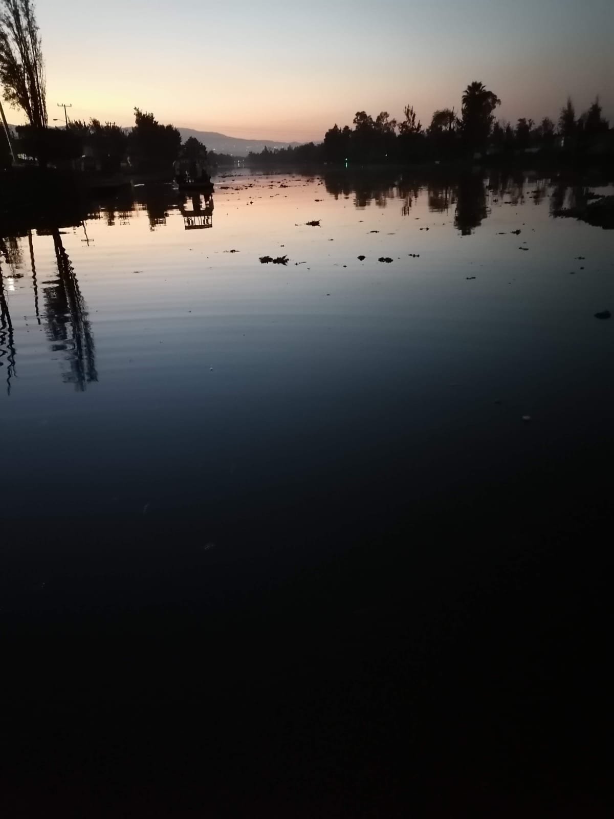 Amanecer Xochimilco