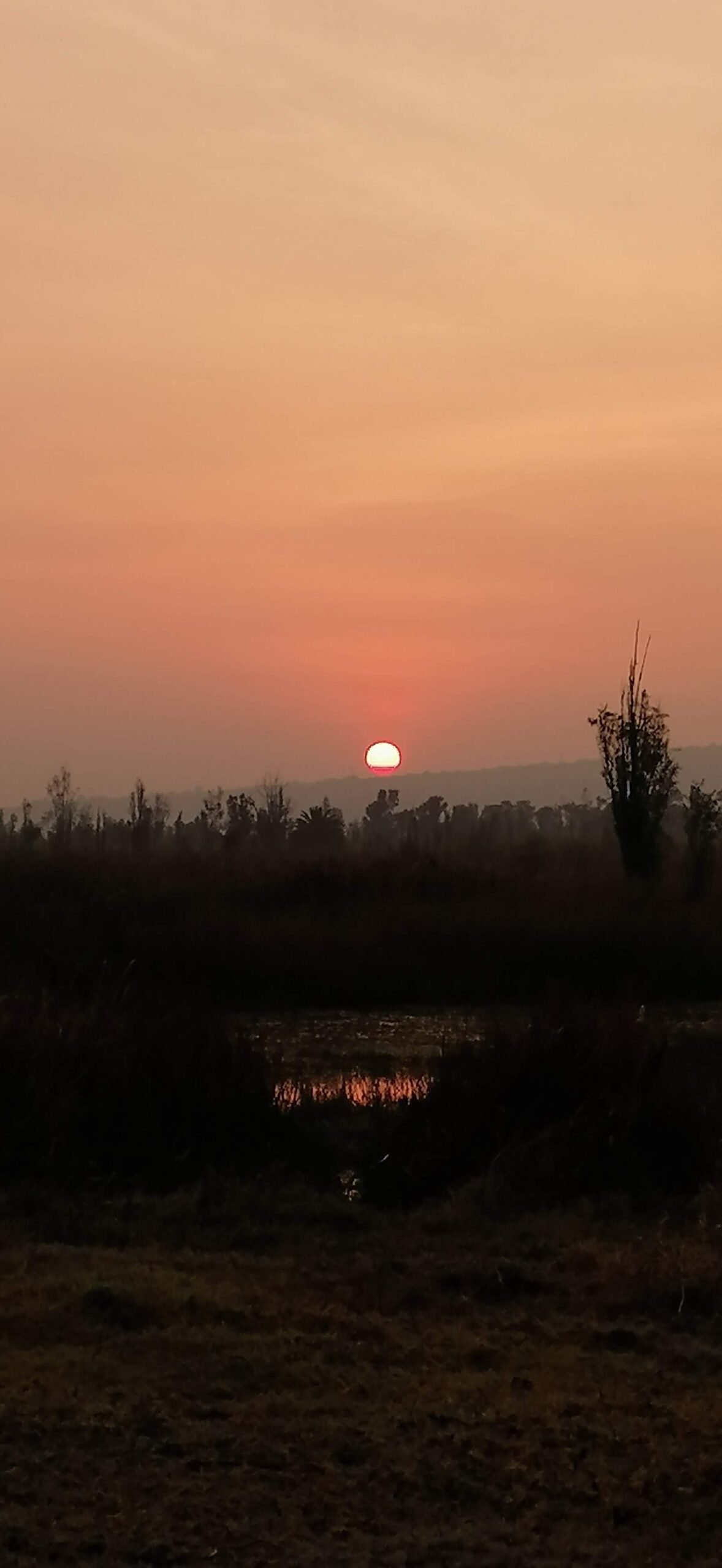 Atardecer Xochimilco