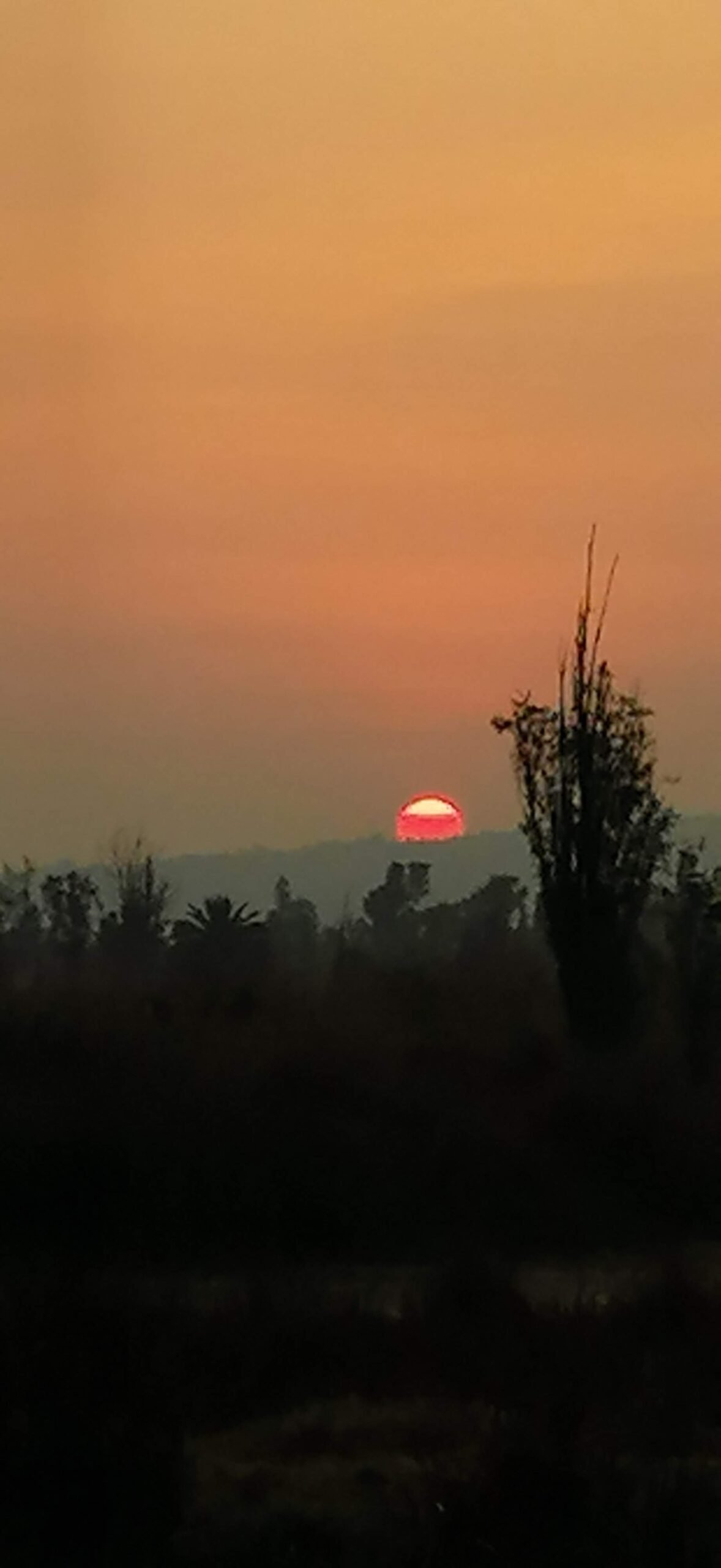 Atardecer Xochimilco