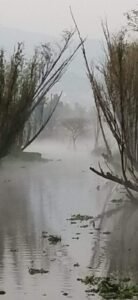 recorrido-isla-llorona 5 horas