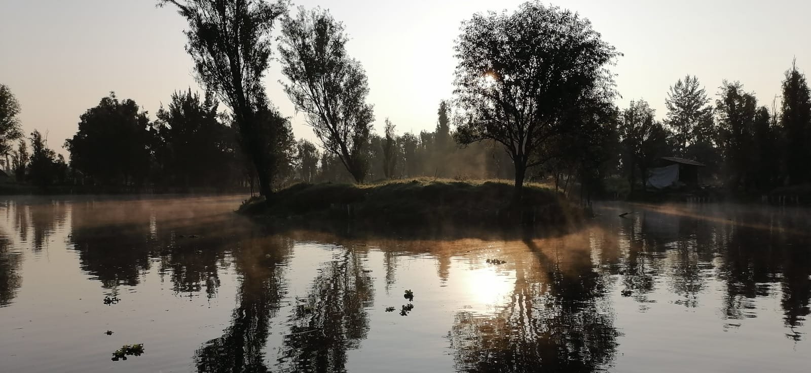 Amanecer Xochimilco