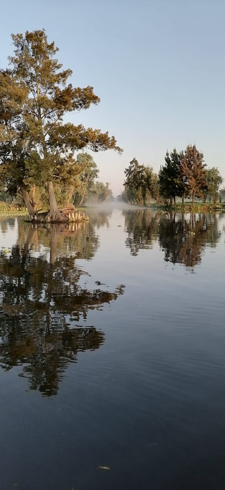 Amanecer Xochimilco