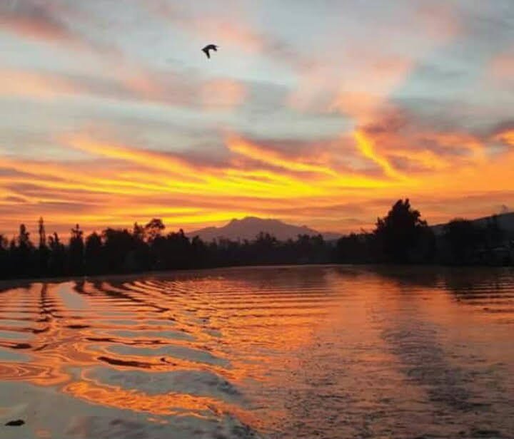 Atardecer Xochimilco