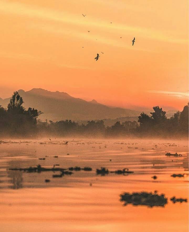 Atardecer Xochimilco