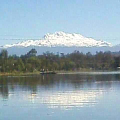 Naturaleza Canales Xochimilco