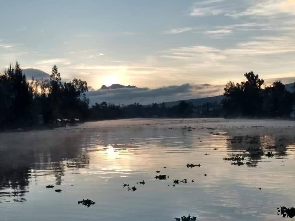 Amanecer Xochimilco