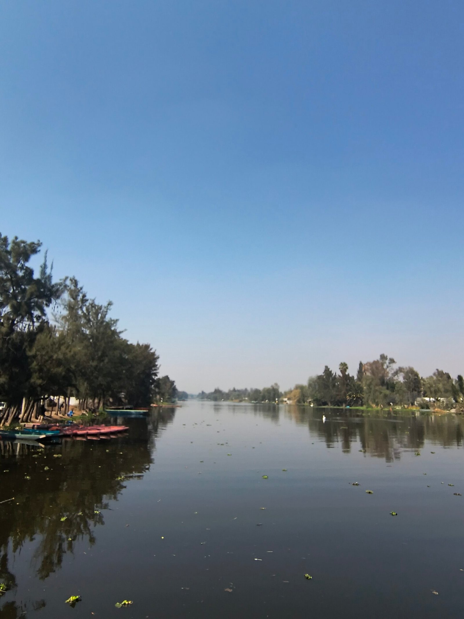 Naturaleza Canales Xochimilco