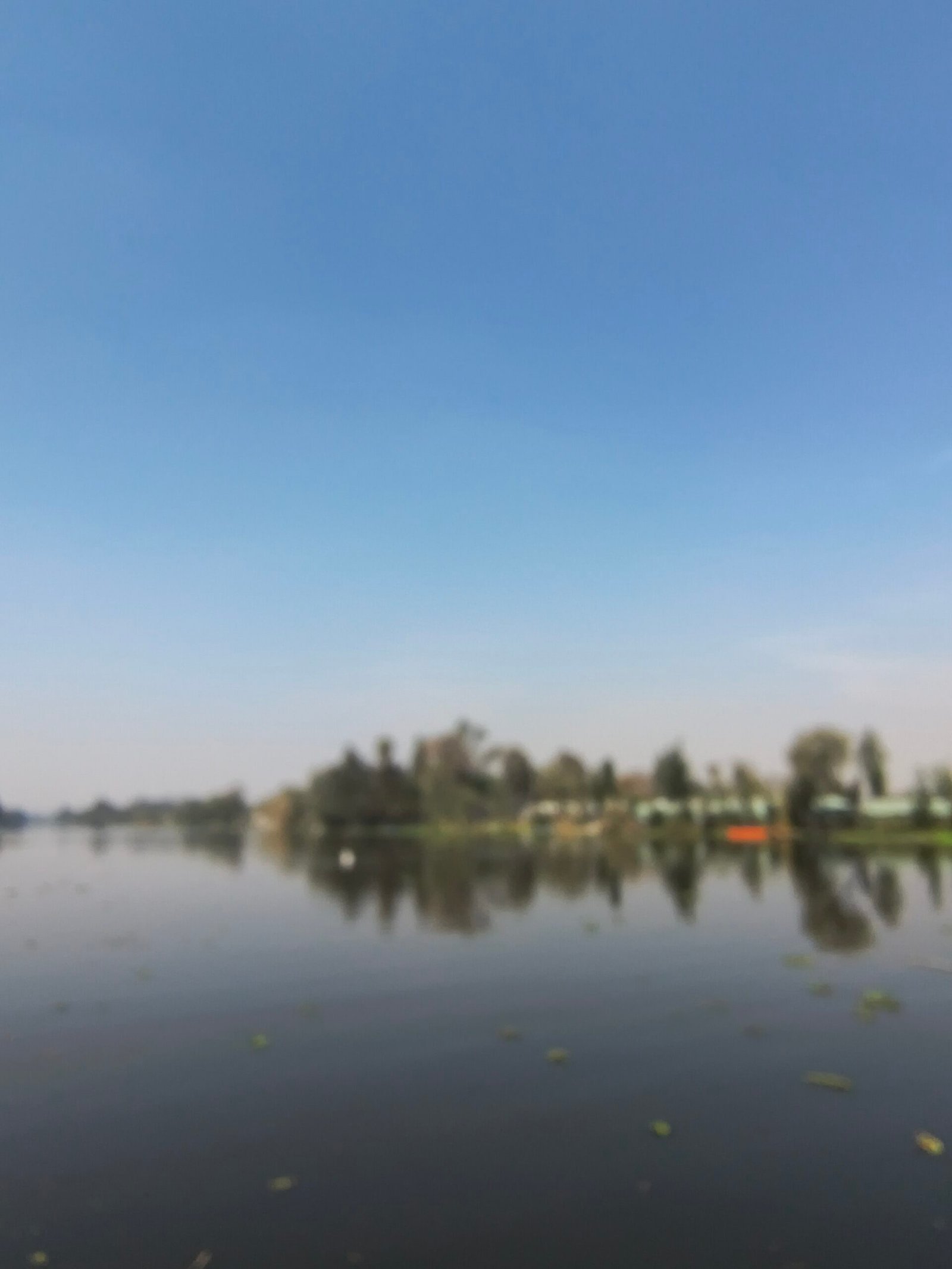 Naturaleza Canales Xochimilco