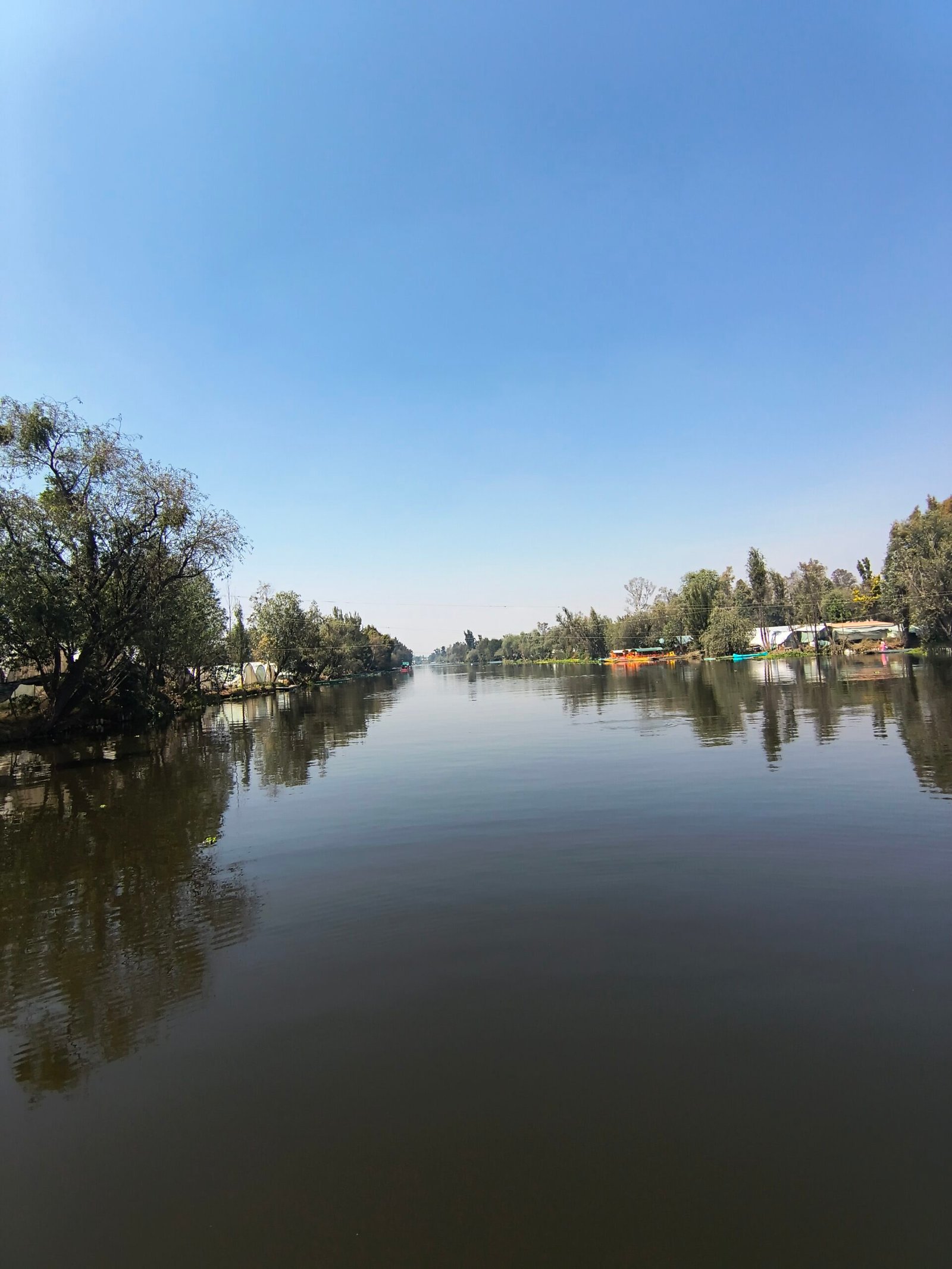 Amanecer Xochimilco