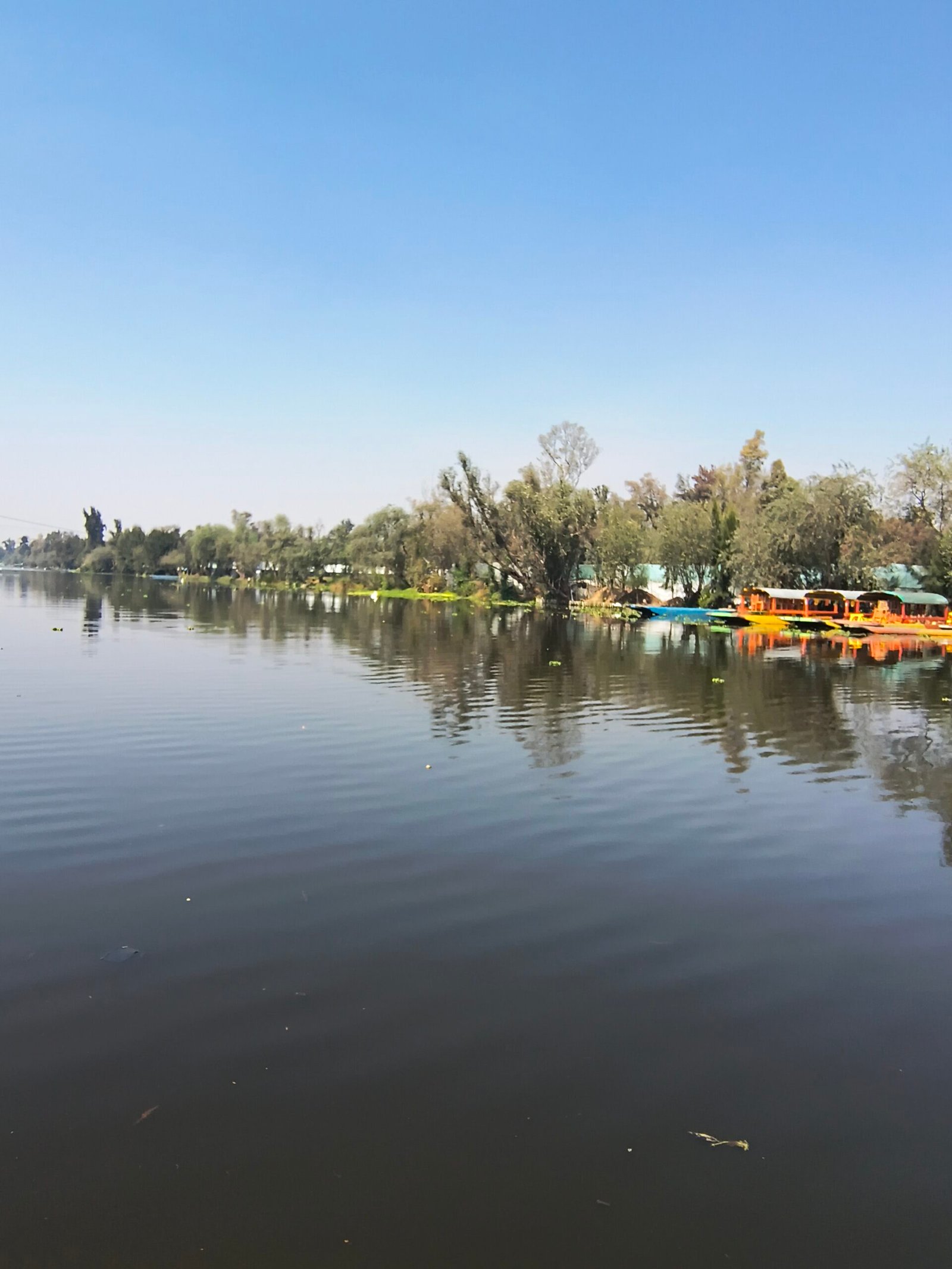 Naturaleza Canales Xochimilco