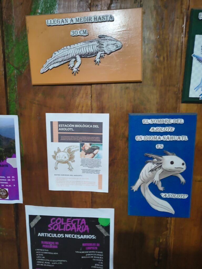 IMG_20260201_123418210