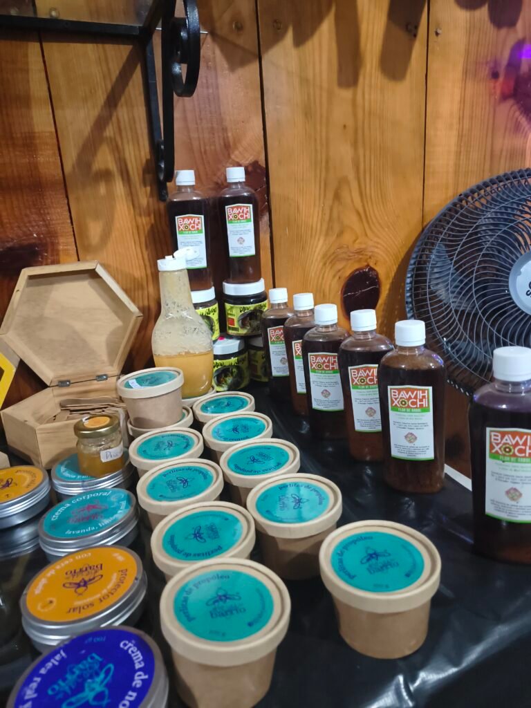 IMG_20260201_123531009