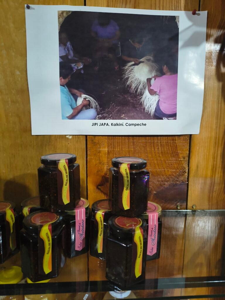 IMG_20260201_123603201