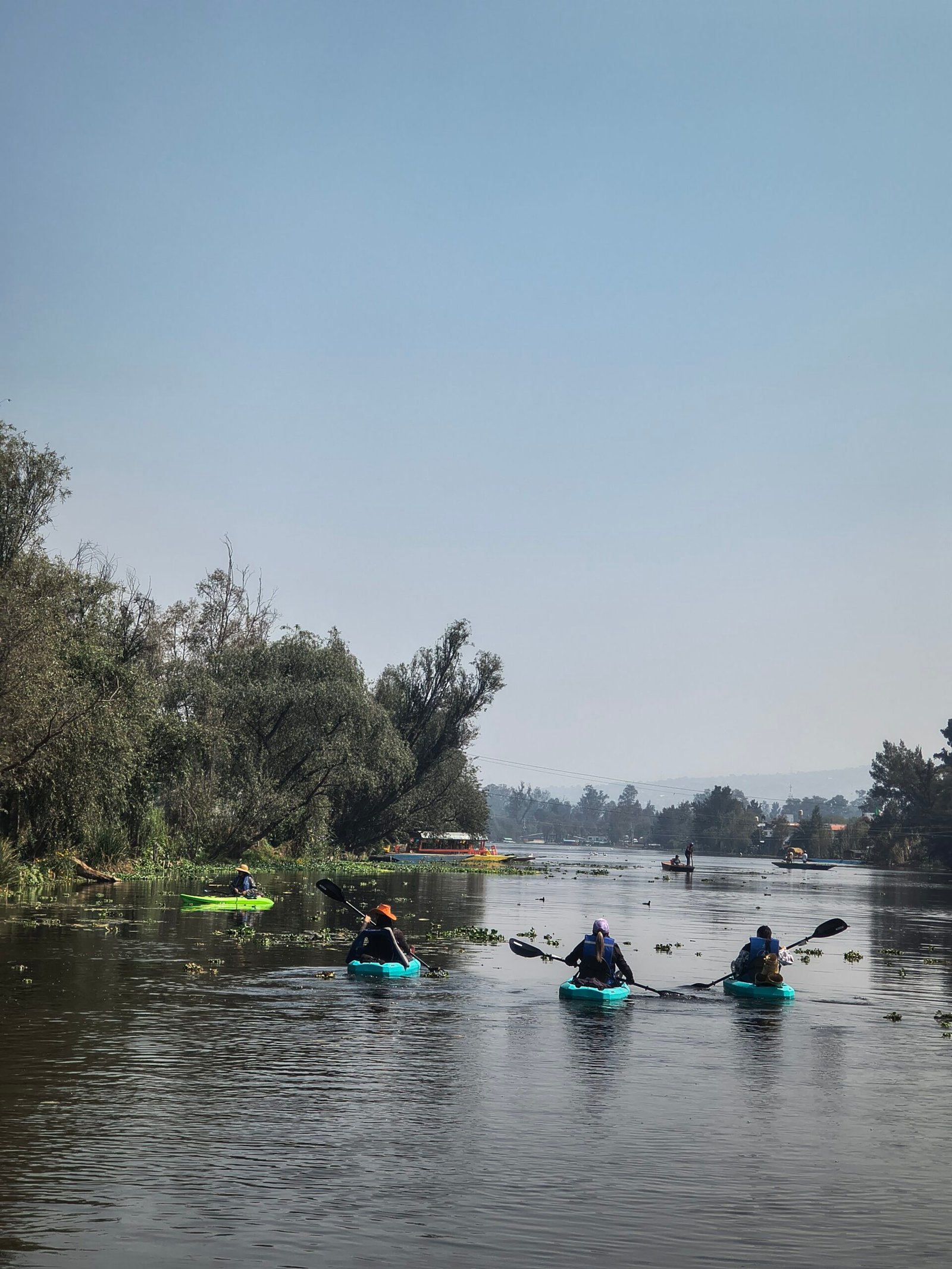Naturaleza Canales Xochimilco